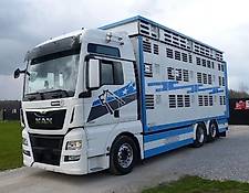 MAN livestock truck TGX 26.560